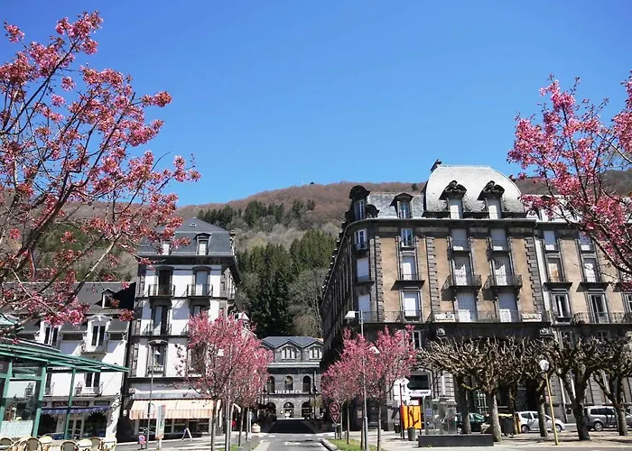 T1 Au Mont-dore à 400m Des Thermes - Fr-1-608-132 Le Mont-Dore