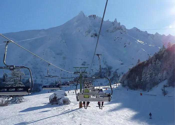 アパート T1 Au Mont-dore A 400m Des Thermes - Fr-1-608-132 ル・モンドール