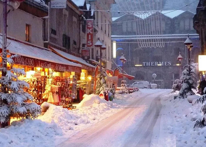 T1 Au Mont-dore A 400m Des Thermes - Fr-1-608-132 *