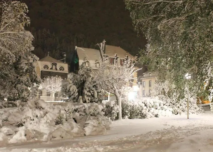 T1 Au Mont-dore à 400m Des Thermes - Fr-1-608-132
