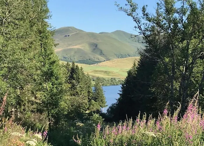 Appartement T1 Au Mont-dore à 400m Des Thermes - Fr-1-608-132 *